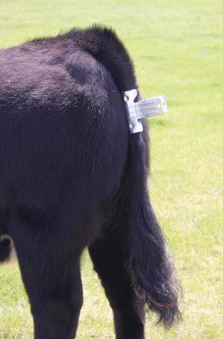 tail clamp