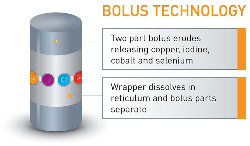 Agrimin 24.7 Smartrace Plus Calf Bolus With Copper 20's