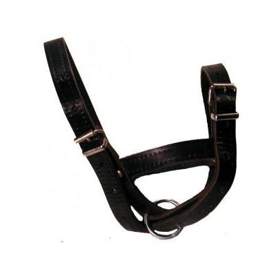Flat Leather Sheep Halter|Animal Farmacy