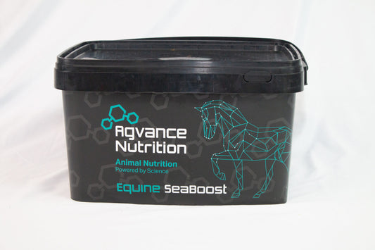 Premium Equine Seaboost Mineral Bucket
