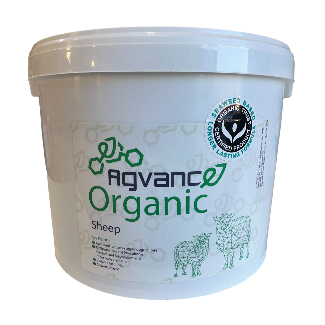 Agvance Organic Sheep Mineral Bucket