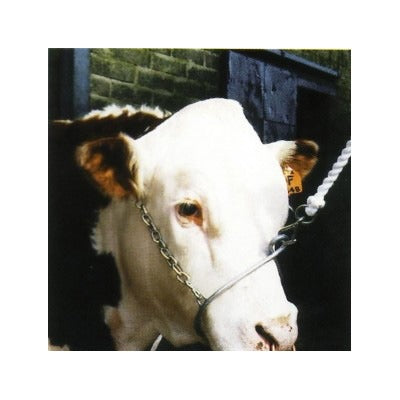 Metal Training Halter|Animal Farmacy